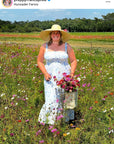 SARAH BRAY BERMUDA Geranium Sun Hat - Short & Wide French Blue Grosgrain Ribbon